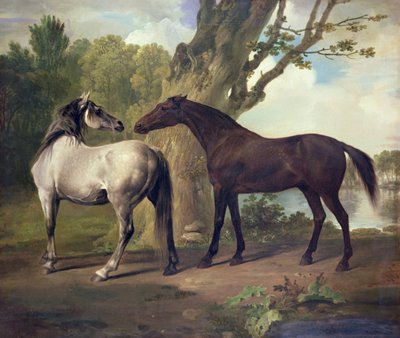 Bir manzara içinde iki at by George Stubbs