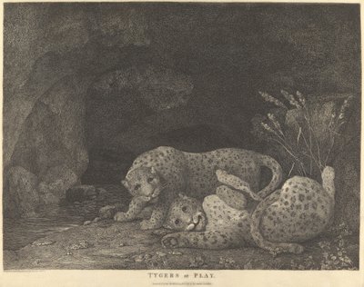 Tyger'lar Oyunda by George Stubbs