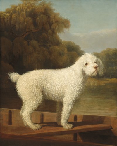 Punt