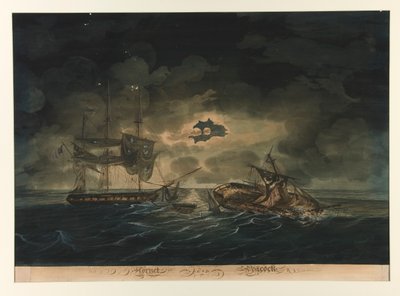 Hornet (ABD) ve Tavuskuşu (İngiliz) by George Thresher