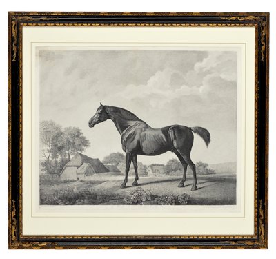 Sweetbrier (nokta gravürü) by George Townley Stubbs