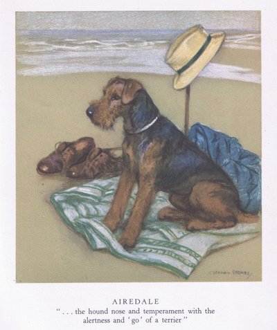 Airedale (renkli lito) by George Vernon Stokes