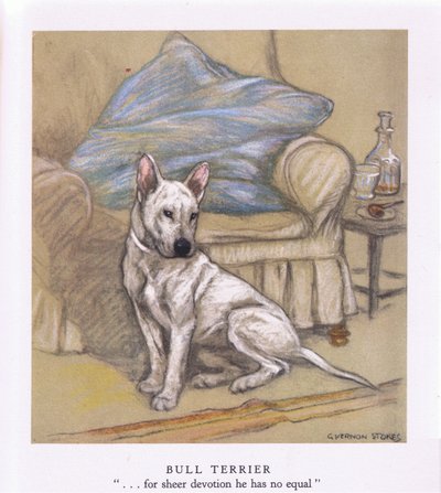 Bull Terrier (renkli lito) by George Vernon Stokes