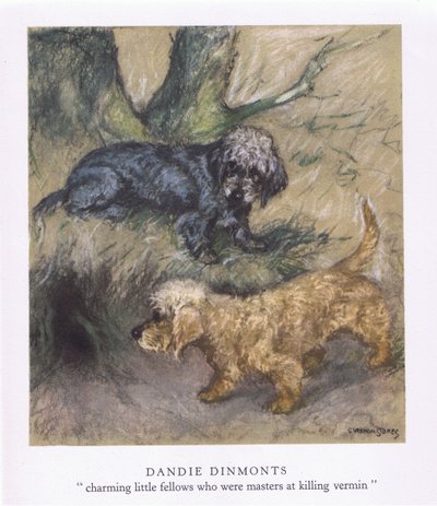 Dandie Dimonts (renkli lito) by George Vernon Stokes