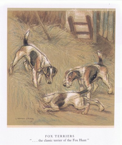 Tilki Teriyerleri (renkli lito) by George Vernon Stokes