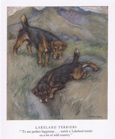 Lakeland Teriyerleri (renkli lito) by George Vernon Stokes