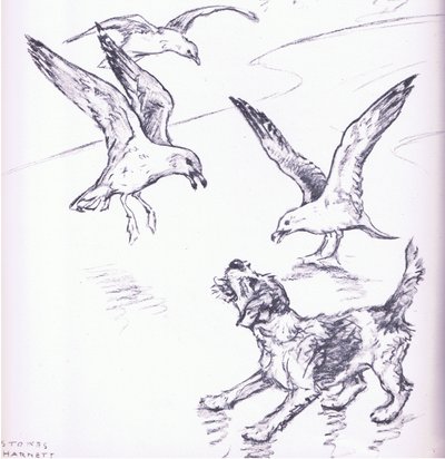 Rosie martıları uzaklaştırıyor, Collins tarafından yayınlanan Mudlarks kitabından by George Vernon Stokes
