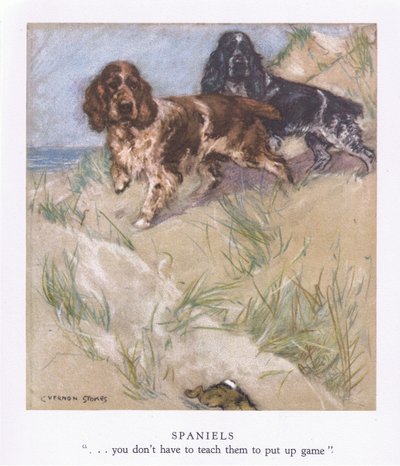Spanieller (renkli lito) by George Vernon Stokes