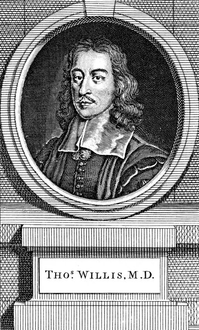 Thomas Willis, 17. yüzyıl İngiliz doktoru, 1742 by George Vertue