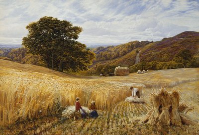 Holmbury Tepesi Yakınında Hasat Zamanı, Surrey by George Vicat Cole