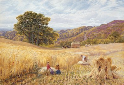 Holmbury Hill yakınlarında hasat zamanı, Surrey, 1865 (kağıt üzerinde wc ve gövde rengi) by George Vicat Cole