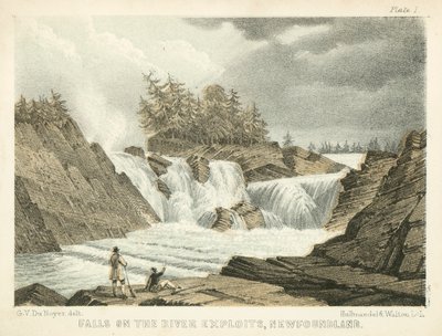 Exploits Nehri Şelaleleri, Newfoundland (renkli gravür) by George Victor Du Noyer