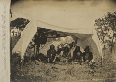 "Tepedeki Kurt" ve eşi; Küçük Boğa ve eşi (Apaçiler) yıllık büyük konsey delegeleri by George W. Ingalls