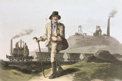 Robert Havell (1769-1832) 1814 tarafından oyulmuş 
