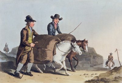 Robert Havell (1769-1832) 1814 tarafından oyulmuş 