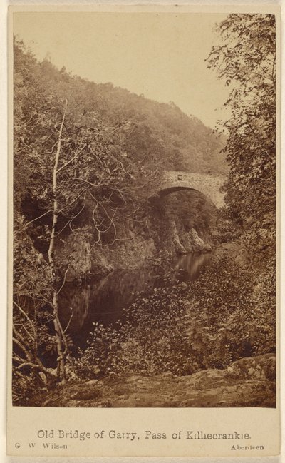  by George Washington Wilson