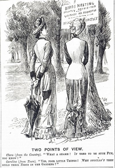 1880 Kuşları Koruma Yasası hakkında yorum yapan karikatür by George du Maurier