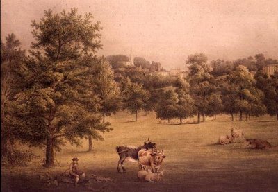 Tepedeki Tırmık by George the Younger Barret