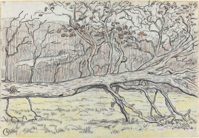 Kesilmiş Ağaç, Normandiya by Georges Lacombe