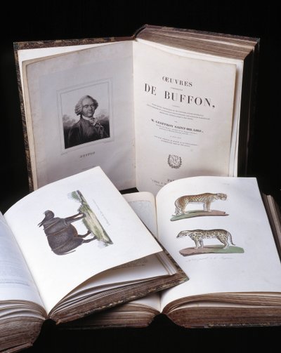 Doğa bilimci Georges Louis Leclerc, Buffon Kontu (1707 - 1788) tarafından “Buffon
