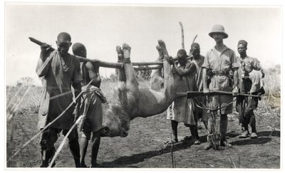 Bahr el Ghazal