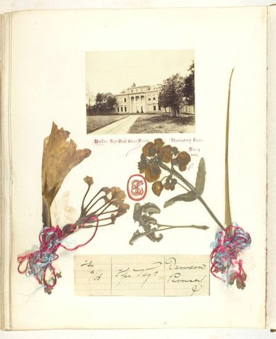 İsimsiz [kuru çiçekli Broadlands manzarası], 1868. by Georgina Cowper