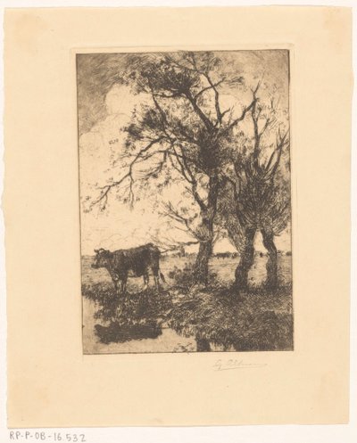 Kıyıdaki inek by Gerard Altmann (signed by artist)