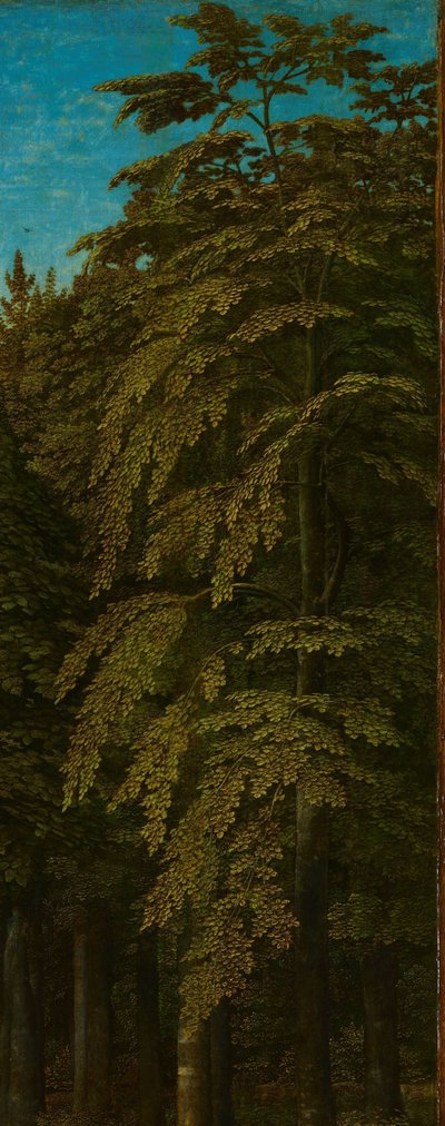 Bir Ormanda Görünüm, bir triptiğin dış sağ kanadı by Gerard David