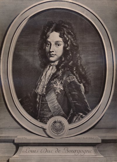 Louis, Burgonya Dükü, Fransa Dauphin ve Kral Louis XV