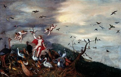 Hava by Gerard Hoet