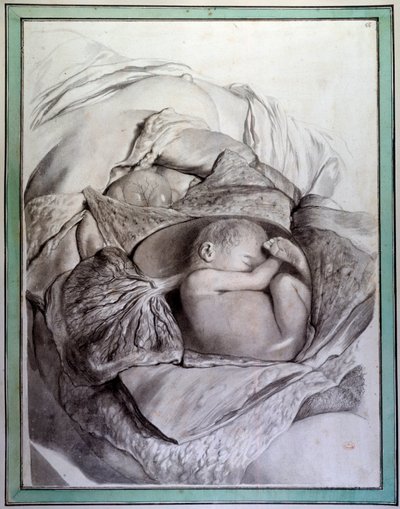Rahimdeki bir insan fetüsünün temsili Gerard de Lairesse (1640-1711) tarafından Govert Bidloo (veya Govard) tarafından “Anatomia Humani Corporis”i gösteren gravür (1649-1713) 18. Yüzyıl Tıp Fakültesi Kütüphanesi, Paris by Gerard de Lairesse