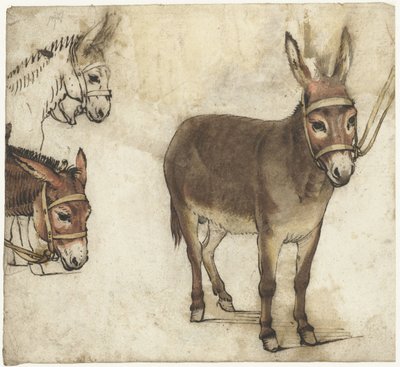 Eşekler ile çalışma sayfası by Gerard ter Borch (I)