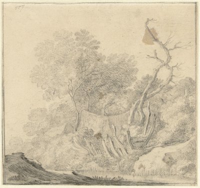 Suya yakın ağaçlar arasında evler by Gerard ter Borch (II) (possibly)