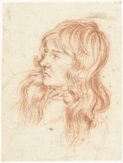 Genç bir adamın başı, solda by Gerard ter Borch (II)