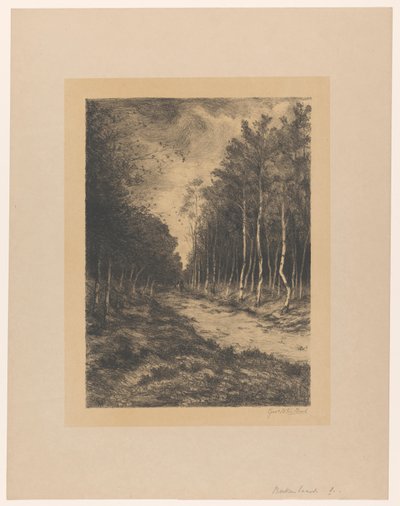 İki bisikletçili orman yolu Berkenlaan (nesne üzerindeki başlık) by Gerarda Wilhelmina ten Hoet (signed by artist)