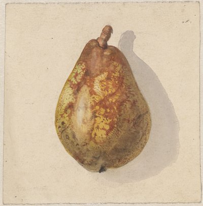 Akran by Gerardina Jacoba van de Sande Bakhuyzen