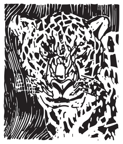  by Gerhardt Isringhaus
