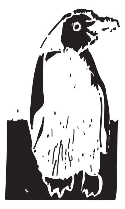 Penguen by Gerhardt Isringhaus