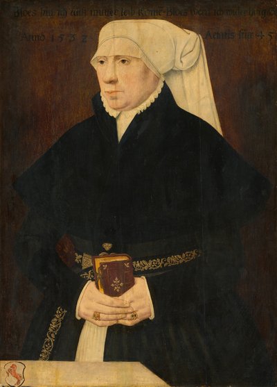 Bir Bayan Portresi by German 16th Century