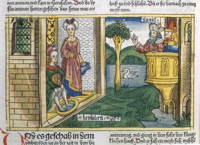 2 Samuel 11 1-5 David, Nürnberg İncil