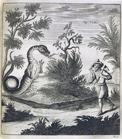Korkunç Bir Ejderha, c.1660 by German School