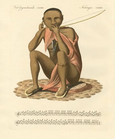 Güney Afrika'da bir bushman (renkli gravür) by German School