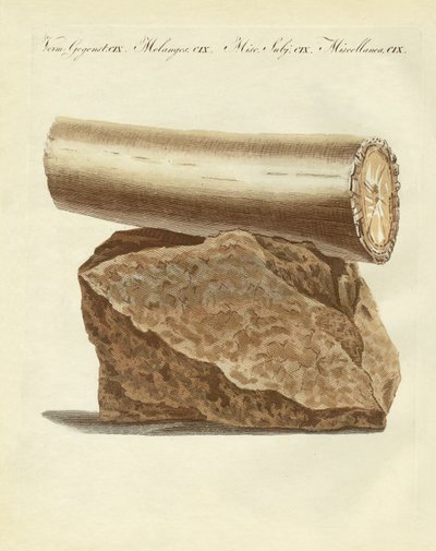 Kazılmış fil dişi silahının bir parçası (renkli gravür) by German School