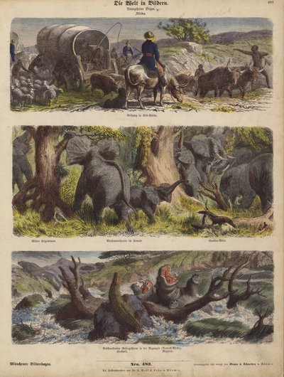 Afrika (renkli gravür) by German School