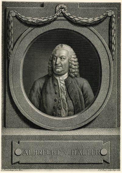 Albert von Haller by German School