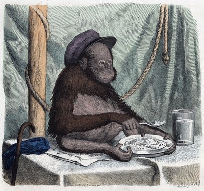 Eğitimli bir orangutan (orang-utan, orang outang, orangutan) bir kaşıkla pilav yer. “” Wenn Jemand eine Reise thut, so kann er was erzahlen””de (Birisi seyahat ettiğinde, söyleyebileceği şey budur), Franz Wiedemann
