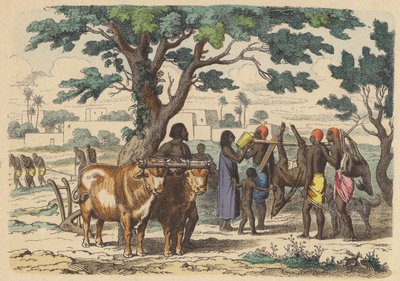 Eski Mısırlı çiftçi ve avcılar (renkli gravür) by German School