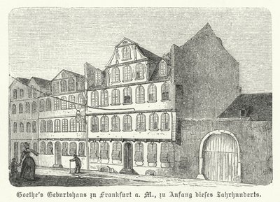 Alman yazar Johann Wolfgang von Goethe