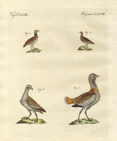 toylar by German School