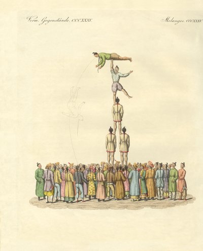 Çin bateleus (renkli gravür) by German School